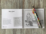 The Koha Colouring Book of Aotearoa